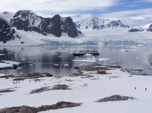 Note our ship - the Antarctica has a way of making you feel insignificant