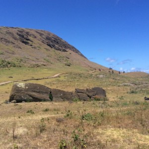 The fallen moai - sort of represents the tragedy of Easter Island