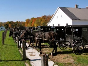 Horse and buggy - Mennonites at church - ahead of the curve on climate change